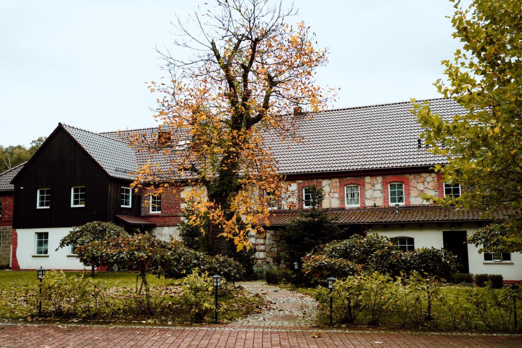 Na Uboczu Villa Gryfów Śląski Eksteriør bilde