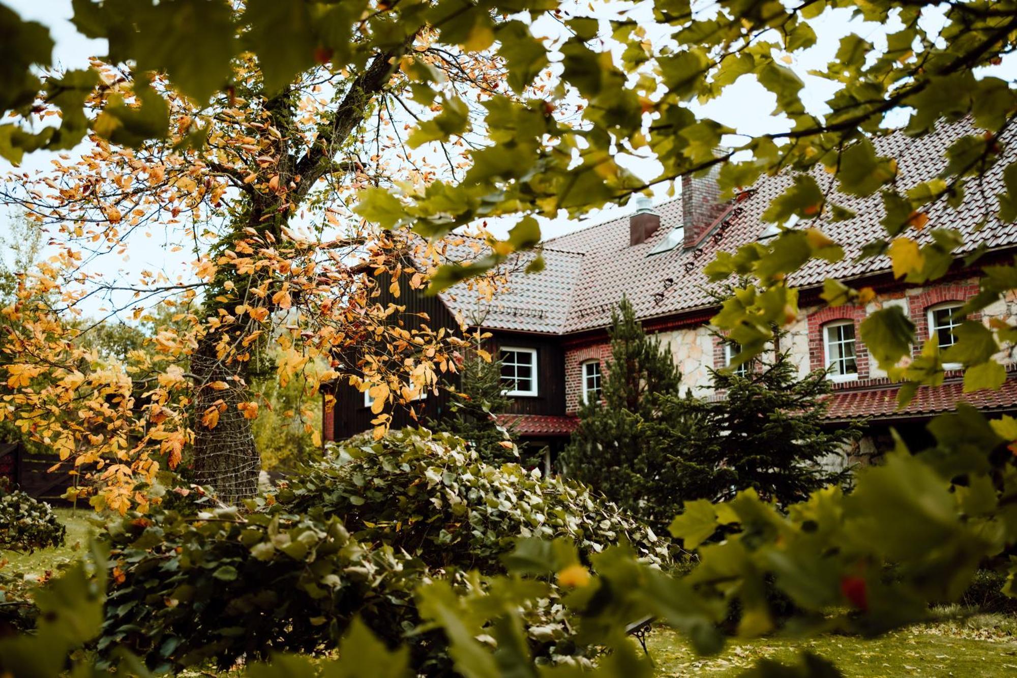 Na Uboczu Villa Gryfów Śląski Eksteriør bilde