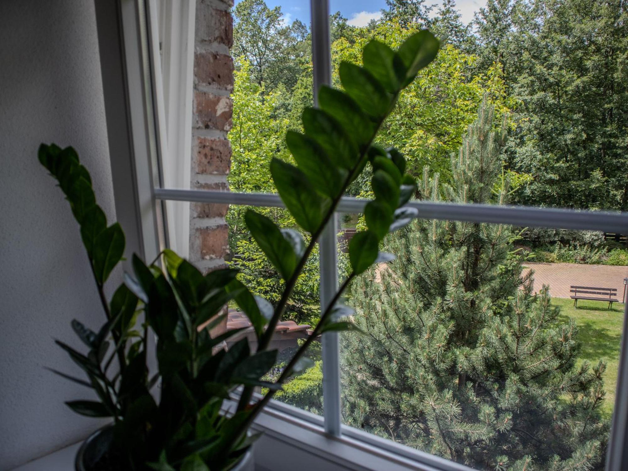 Na Uboczu Villa Gryfów Śląski Rom bilde